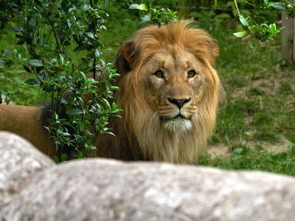 2020-06-09_ZOO-LE_1060215.jpg