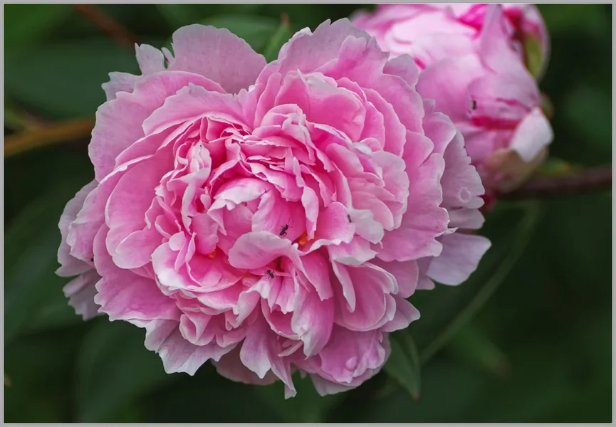 _small__IMG2851_1_DxO.webp