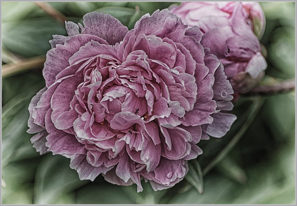 _small__IMG2851_1_Nik_HDR_DxO.JPG
