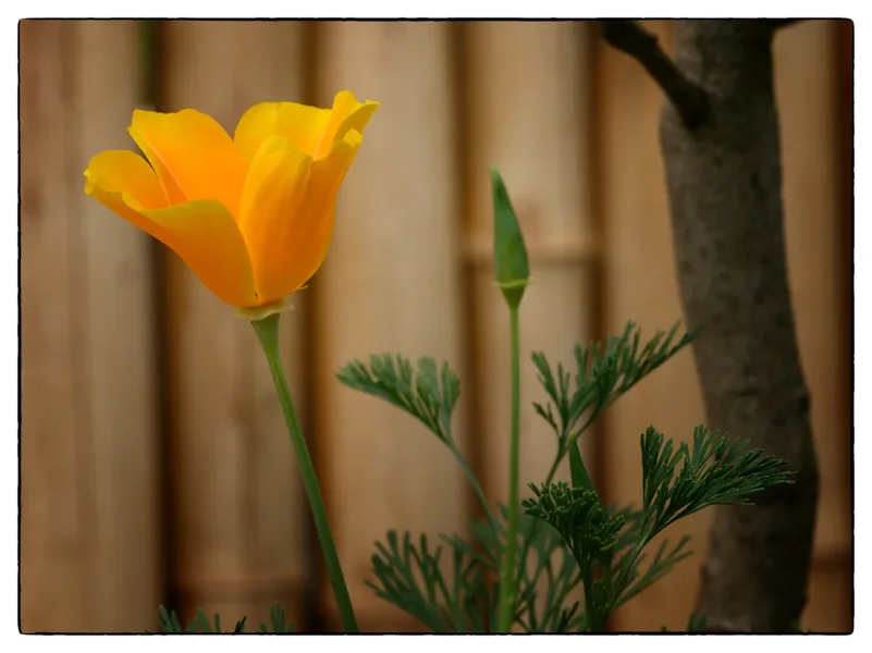 DSC_3429.webp