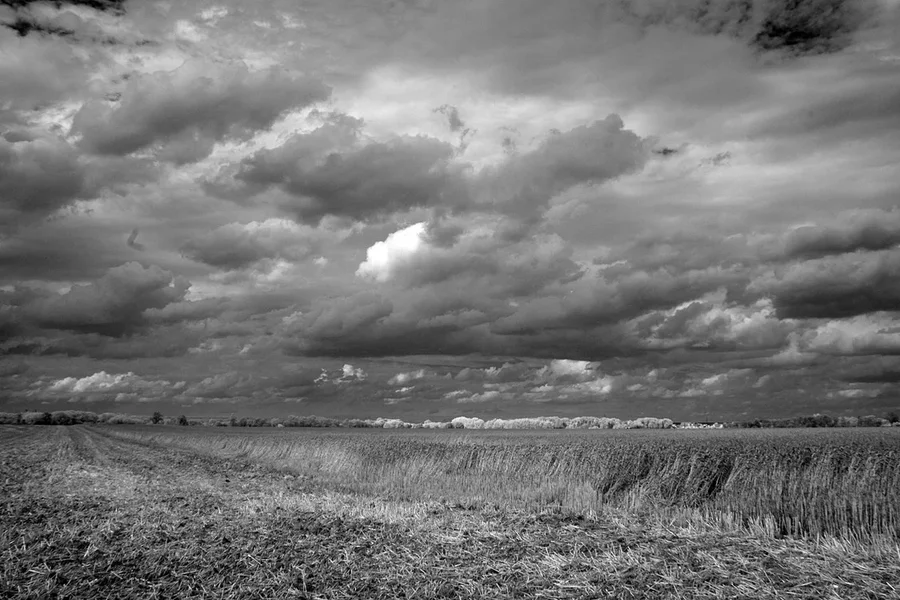 0000923_IR_ÜBER  LAND.webp
