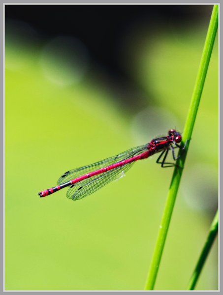 _small__IMG3000_1_DxO.JPG