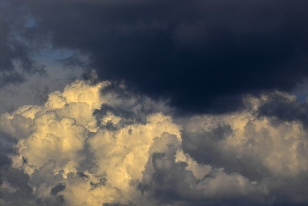 IMG16260-b.jpg