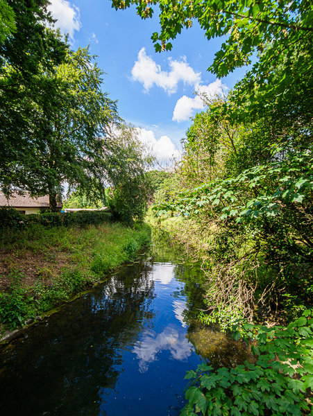 Beller Mühle 2020_535.jpg Beller Mühle 2020_535.jpg