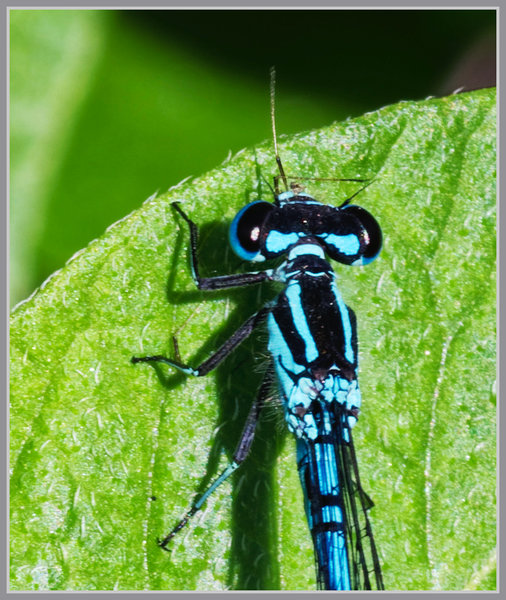 _small__IMG3024_1_DxO.JPG