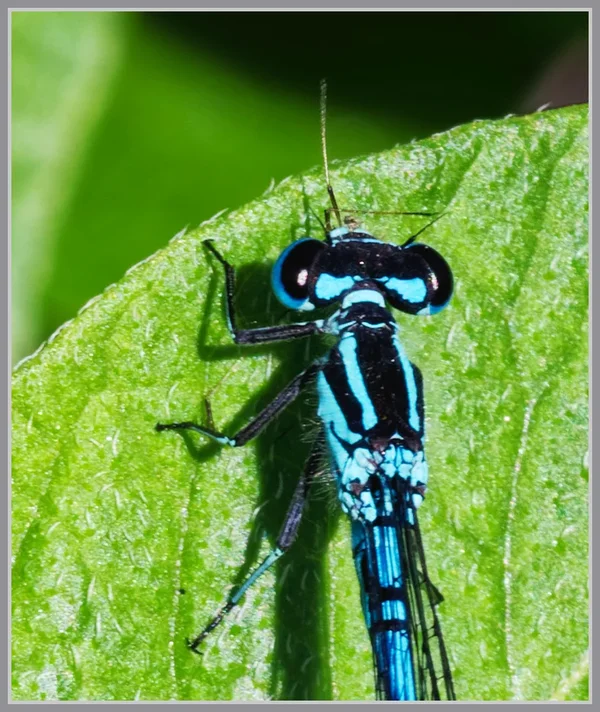 _small__IMG3024_1_DxO.webp