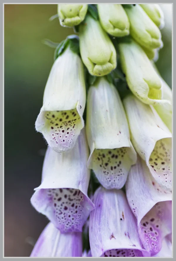 _small__IMG3033_1_DxO.webp