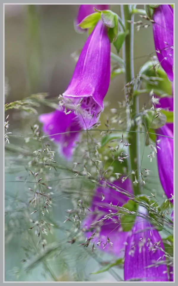 _small__IMG3035_1_DxO.webp