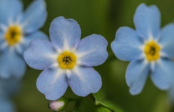 2020 GA FOP7020249-Bearbeitet.jpg