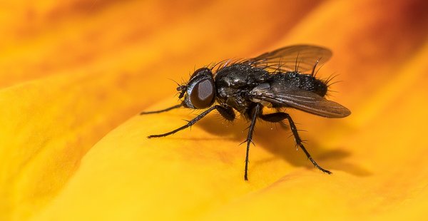 2020 GA FOP7020280-Bearbeitet.jpg