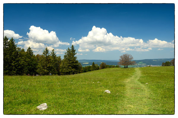 DSC_3466.jpg