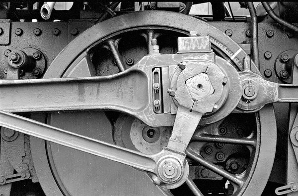 2020-07-05_KODAK_BW400_NC2020-07-05-DR 52-5482-8.jpg 2020-07-05_KODAK_BW400_NC2020-07-05-DR 52-5482-8.jpg