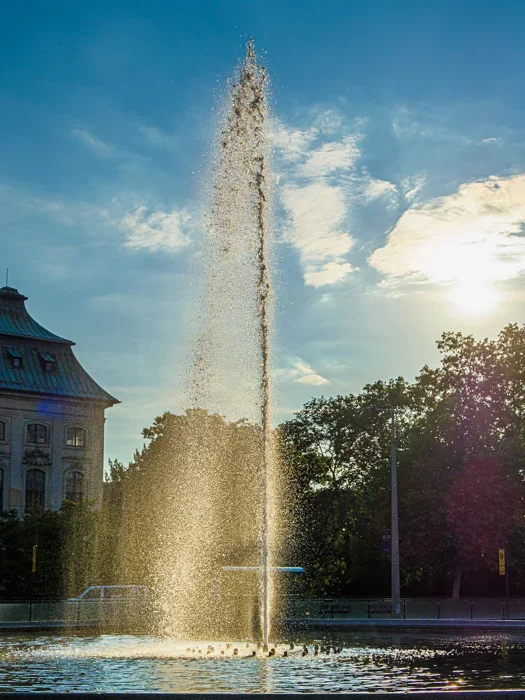 Dresden 2020_278.webp