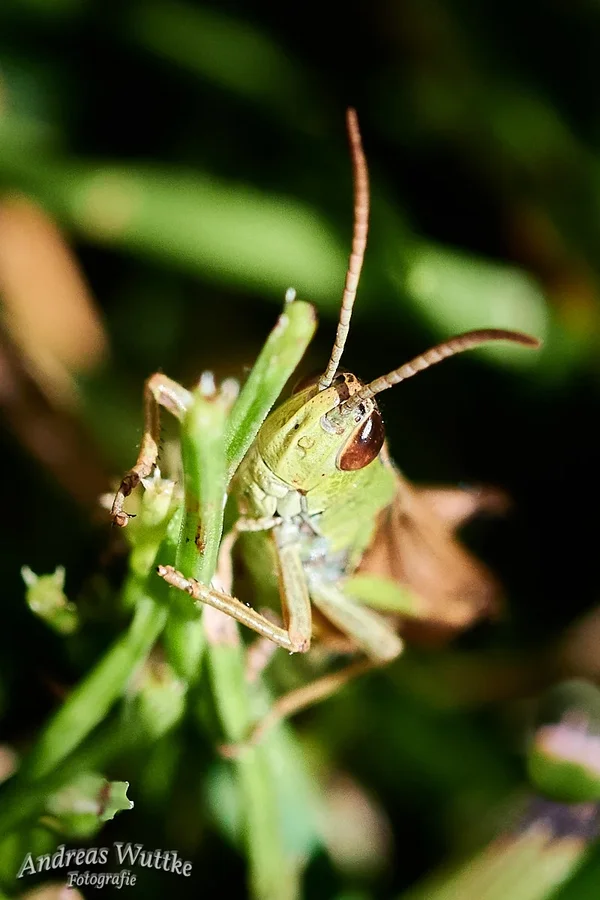 D75_1015_C1.webp