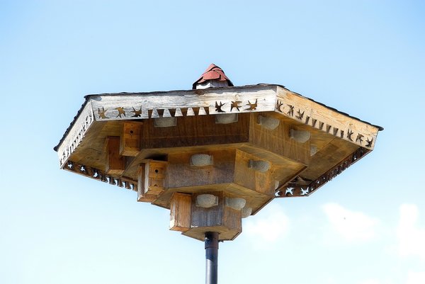 IMG16012-a.jpg