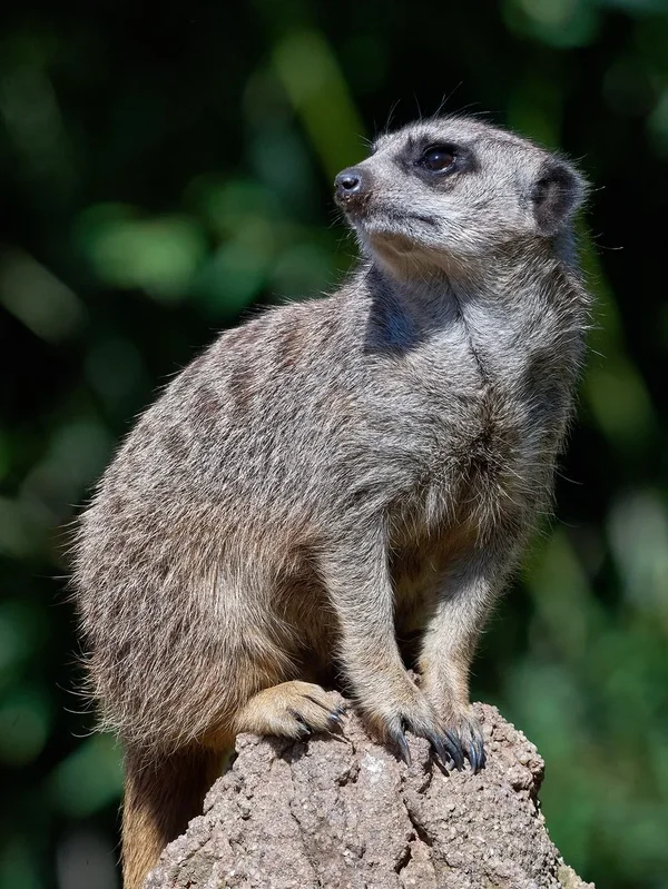 2020-07-14_ZOO-LE_8270425.webp