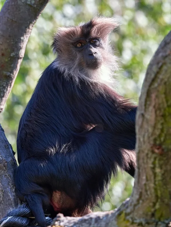 2020-07-14_ZOO-LE_8270464.webp