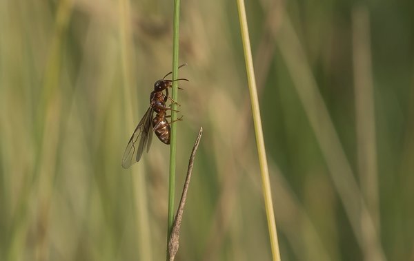 2020 HOMO FOP7130047.jpg