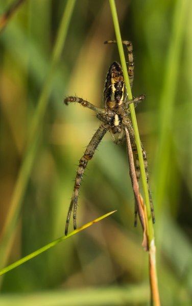 2020 HOMO FOP7130068.jpg