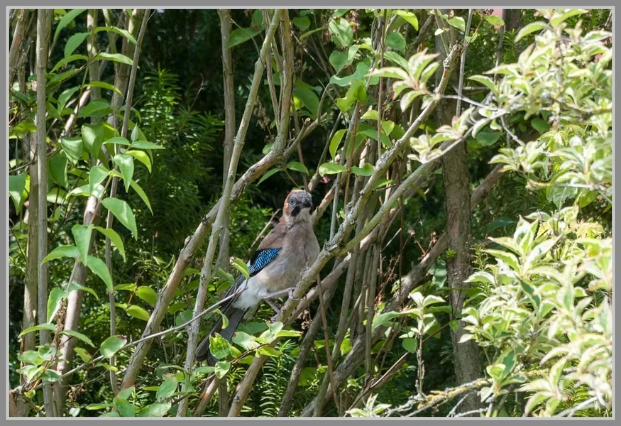 _DMA0358_DxO.webp