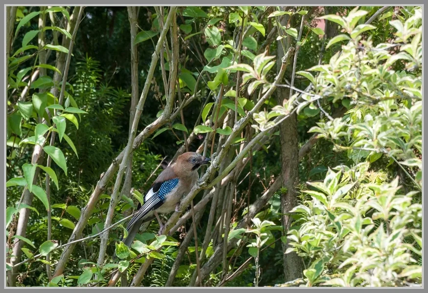 _DMA0367_DxO.webp