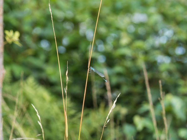 2020 HOMO FOP7130309.jpg