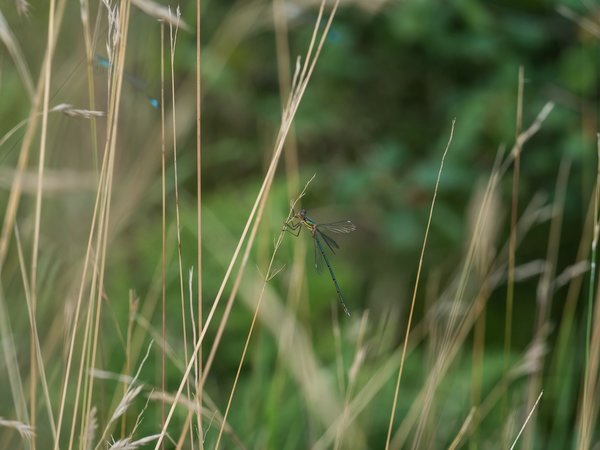 2020 HOMO FOP7130347.jpg