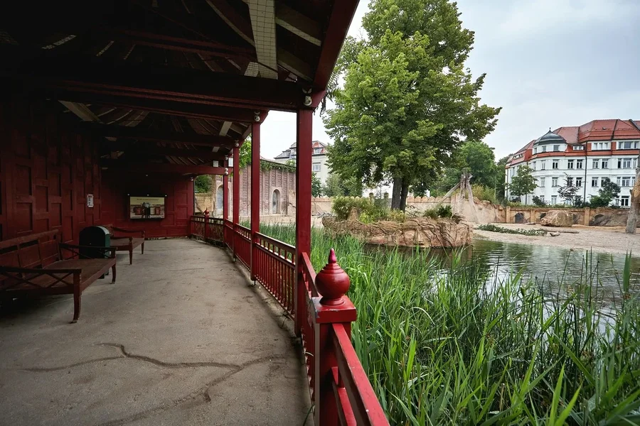 2020-07-15_ELEFANTEN-TEMPEL__MG_9351.webp