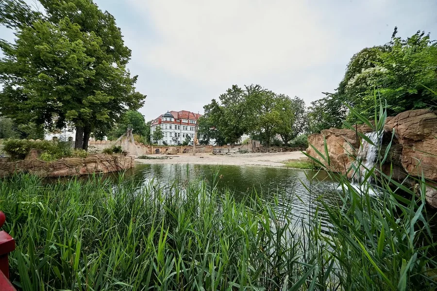 2020-07-15_ELEFANTEN-TEMPEL__MG_9354.webp