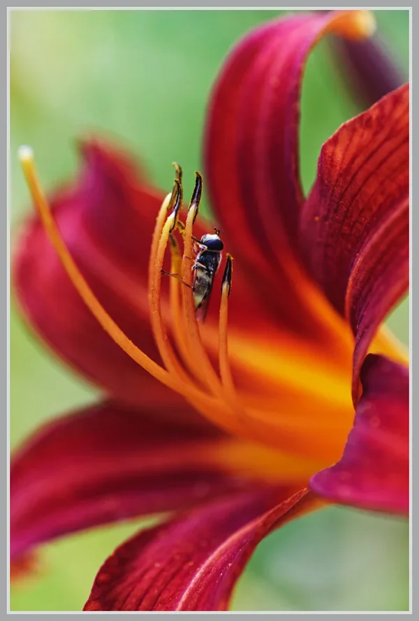 _small__IMG3344_1_DxO.webp