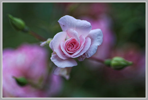 _small__IMG3348_1_DxO.JPG