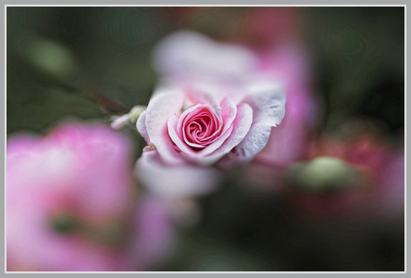 _small__IMG3348_2_Nik_DxO.JPG