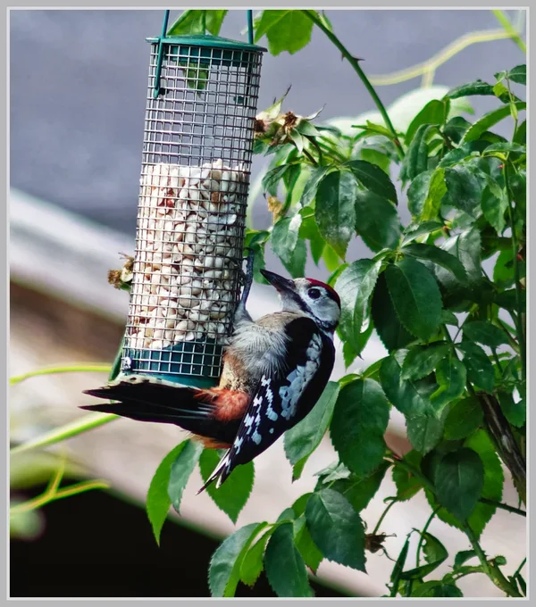 _small__IMG3356_2_DxO.webp