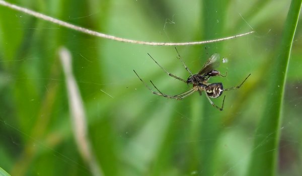 2020 HOMOFOP7160263.jpg