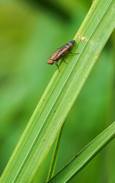 2020 HOMOFOP7160305.jpg