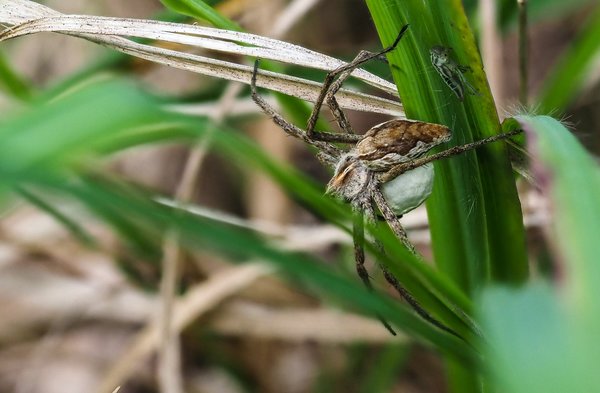 2020 HOMOFOP7160291.jpg