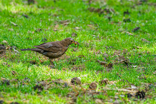 Anholter Schweiz 20_03.jpg