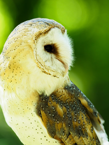 Anholter Schweiz 20_54.jpg