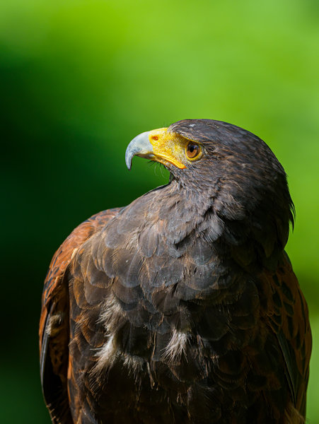 Anholter Schweiz 20_66.jpg