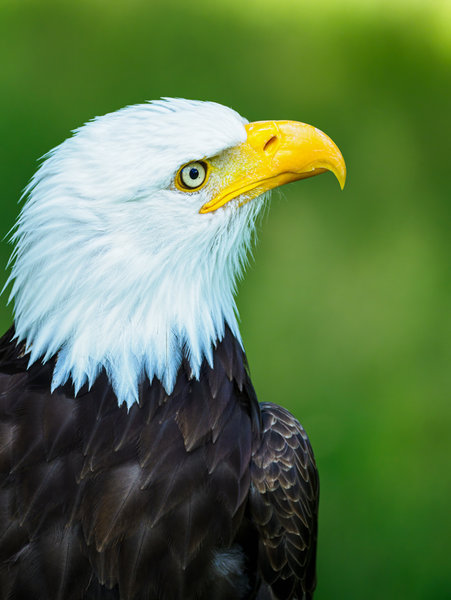 Anholter Schweiz 20_91.jpg