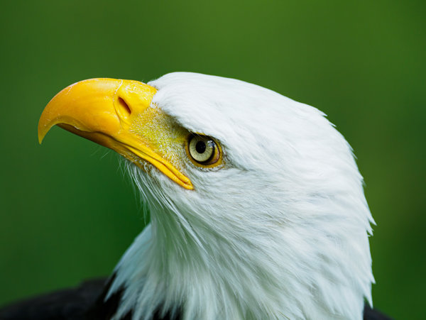 Anholter Schweiz 20_105.jpg