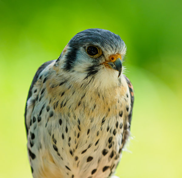 Anholter Schweiz 20_144.jpg