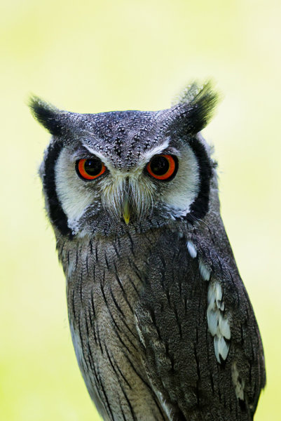 Anholter Schweiz 20_150.jpg