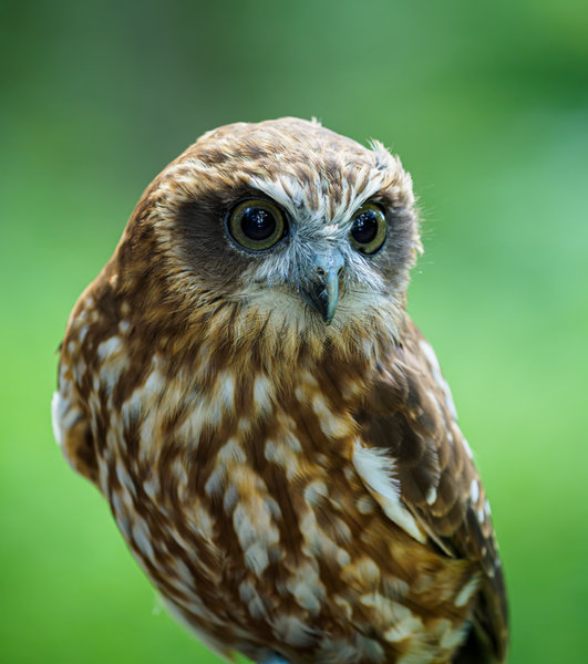 Anholter Schweiz 20_171.jpg