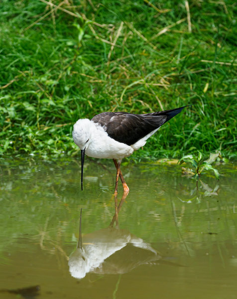 Anholter Schweiz 20_202.jpg