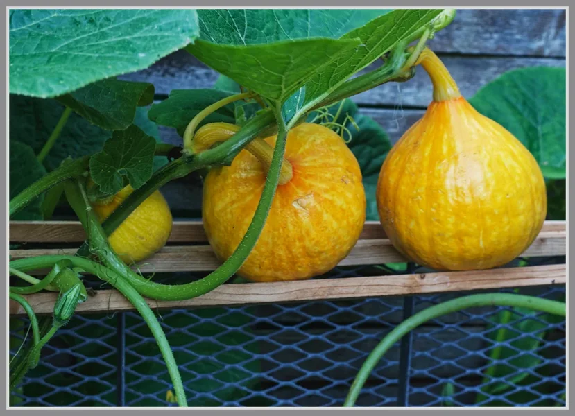 _small__IMG3393_1_DxO.webp