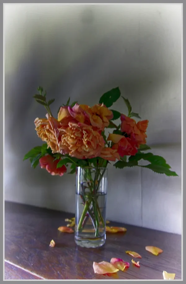 _small__DSC3081_Nik_HDR_DxO.webp