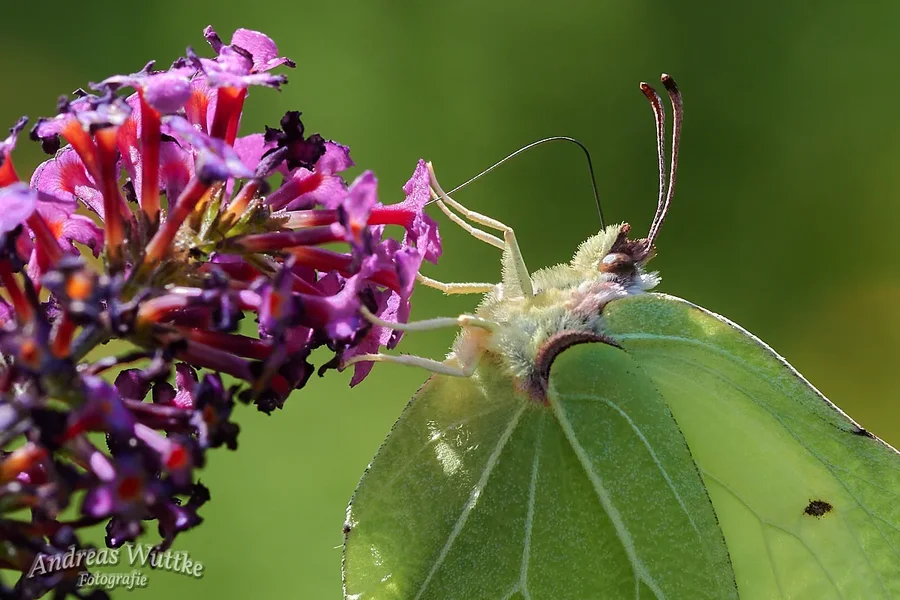D75_1953_C1.webp
