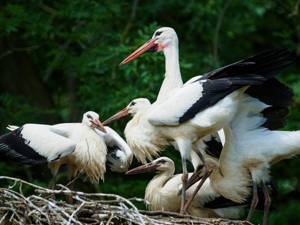 Anholter Schweiz 20_209.jpg