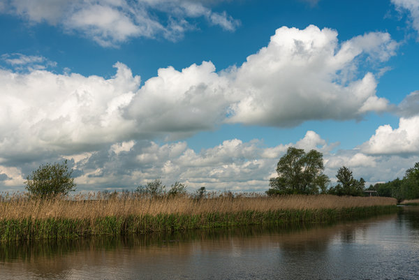 Nehringen 2015_12.jpg